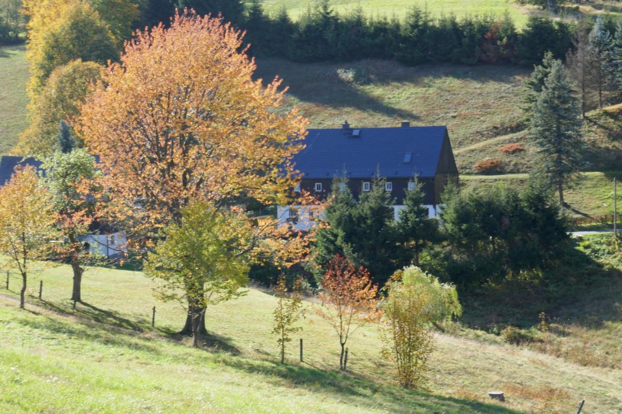 Ferienwohnung Haus Talruhe Altenberg  Exterior foto