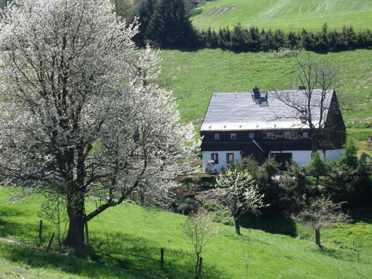 Ferienwohnung Haus Talruhe Altenberg  Exterior foto