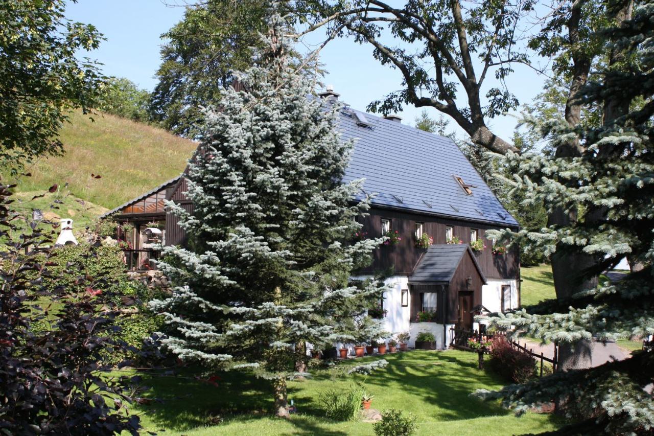 Ferienwohnung Haus Talruhe Altenberg  Exterior foto